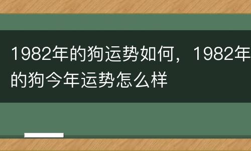 1982年的狗运势如何，1982年的狗今年运势怎么样