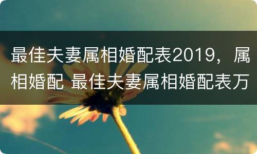 最佳夫妻属相婚配表2019，属相婚配 最佳夫妻属相婚配表万年历