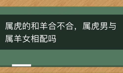 属虎的和羊合不合，属虎男与属羊女相配吗
