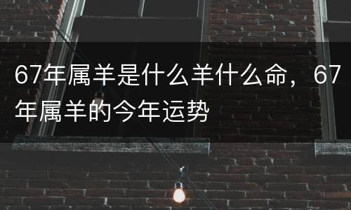 67年属羊是什么羊什么命，67年属羊的今年运势