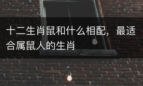 十二生肖鼠和什么相配，最适合属鼠人的生肖