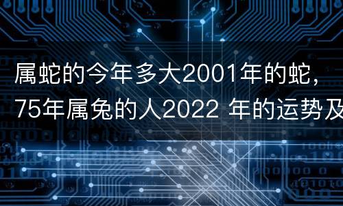 属蛇的今年多大2001年的蛇，75年属兔的人2022 年的运势及运程