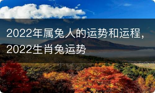 2022年属兔人的运势和运程，2022生肖兔运势