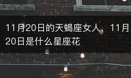 11月20日的天蝎座女人，11月20日是什么星座花