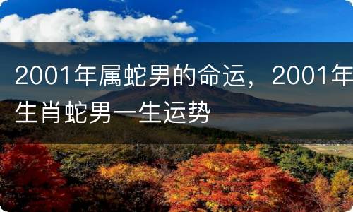 2001年属蛇男的命运，2001年生肖蛇男一生运势
