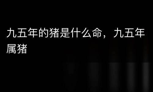 九五年的猪是什么命，九五年属猪