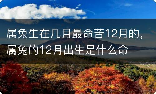 属兔生在几月最命苦12月的，属兔的12月出生是什么命