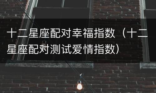 十二星座配对幸福指数（十二星座配对测试爱情指数）