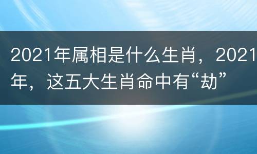 2021年属相是什么生肖，2021年，这五大生肖命中有“劫”