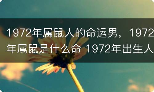 1972年属鼠人的命运男，1972年属鼠是什么命 1972年出生人的命