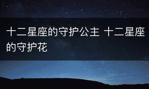 十二星座的守护公主 十二星座的守护花