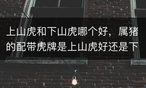 上山虎和下山虎哪个好，属猪的配带虎牌是上山虎好还是下山虎好