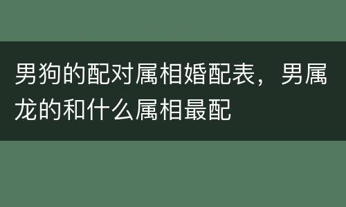 男狗的配对属相婚配表，男属龙的和什么属相最配