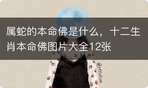 属蛇的本命佛是什么，十二生肖本命佛图片大全12张