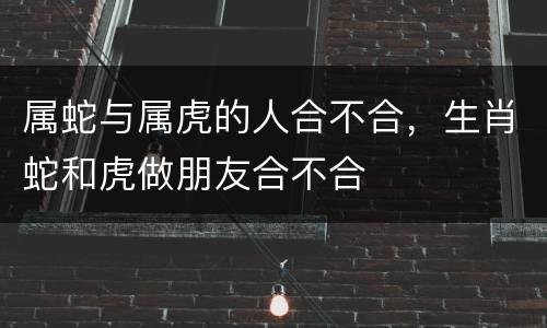 属蛇与属虎的人合不合，生肖蛇和虎做朋友合不合