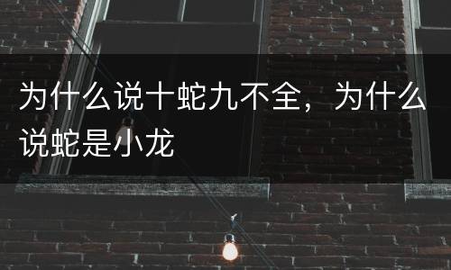 为什么说十蛇九不全，为什么说蛇是小龙