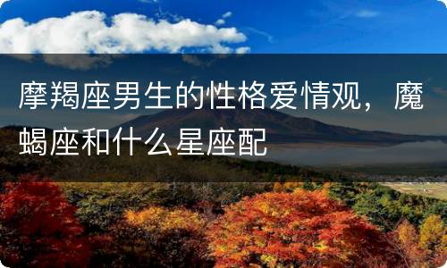 摩羯座男生的性格爱情观，魔蝎座和什么星座配