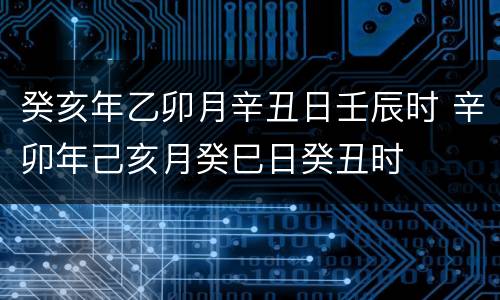 癸亥年乙卯月辛丑日壬辰时 辛卯年己亥月癸巳日癸丑时