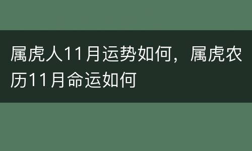 属虎人11月运势如何，属虎农历11月命运如何