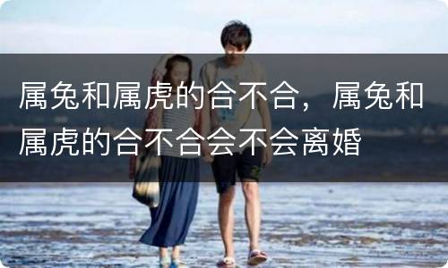 属兔和属虎的合不合，属兔和属虎的合不合会不会离婚