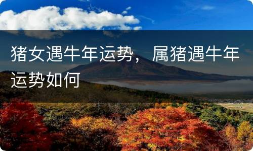 猪女遇牛年运势，属猪遇牛年运势如何