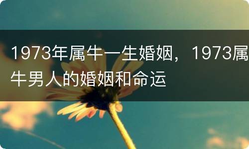 1973年属牛一生婚姻，1973属牛男人的婚姻和命运