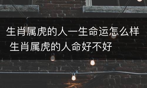 生肖属虎的人一生命运怎么样 生肖属虎的人命好不好