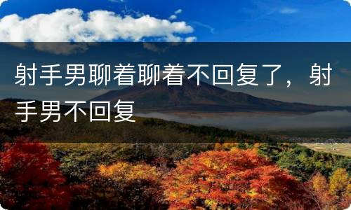 射手男聊着聊着不回复了，射手男不回复