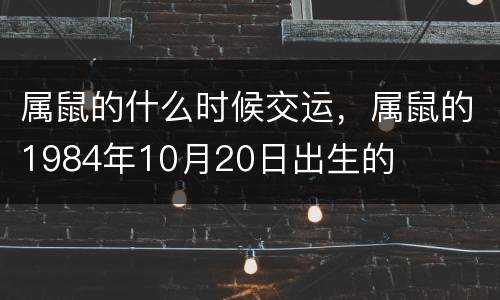 属鼠的什么时候交运，属鼠的1984年10月20日出生的