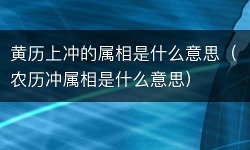 黄历上冲的属相是什么意思（农历冲属相是什么意思）