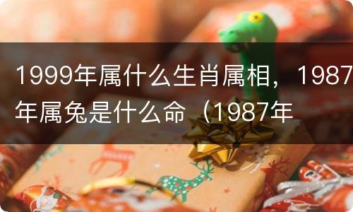 1999年属什么生肖属相，1987年属兔是什么命（1987年