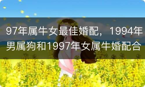 97年属牛女最佳婚配，1994年男属狗和1997年女属牛婚配合适吗？