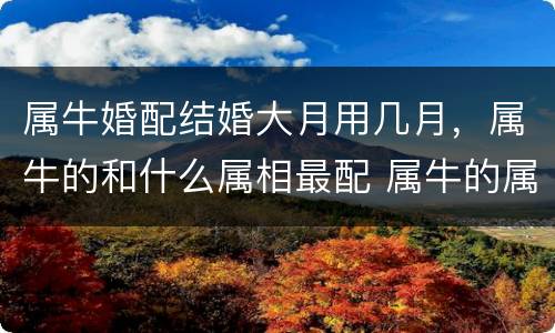 属牛婚配结婚大月用几月，属牛的和什么属相最配 属牛的属相婚配表