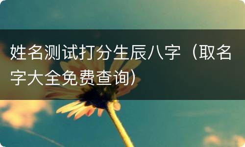 姓名测试打分生辰八字（取名字大全免费查询）