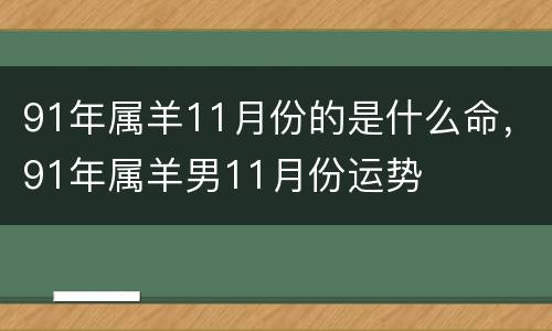 91年属羊11月份的是什么命，91年属羊男11月份运势