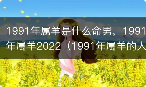 1991年属羊是什么命男，1991年属羊2022（1991年属羊的人什么命运）