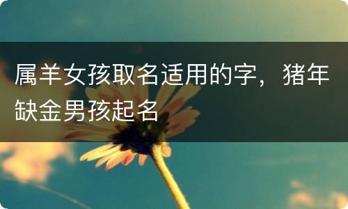 属羊女孩取名适用的字，猪年缺金男孩起名