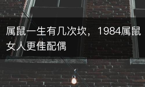 属鼠一生有几次坎，1984属鼠女人更佳配偶