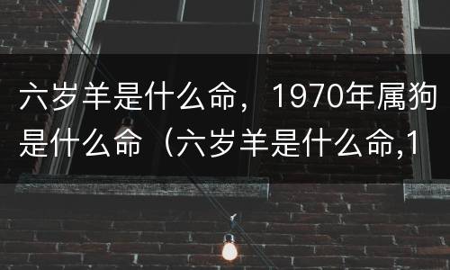 六岁羊是什么命，1970年属狗是什么命（六岁羊是什么命,1970年属狗是什么命呢）