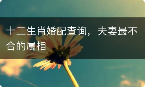 十二生肖婚配查询，夫妻最不合的属相
