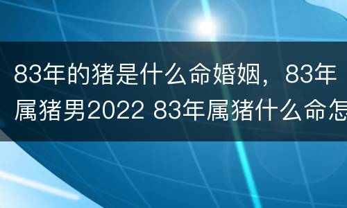 83年的猪是什么命婚姻，83年属猪男2022 83年属猪什么命怎么样男