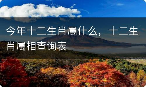 今年十二生肖属什么，十二生肖属相查询表