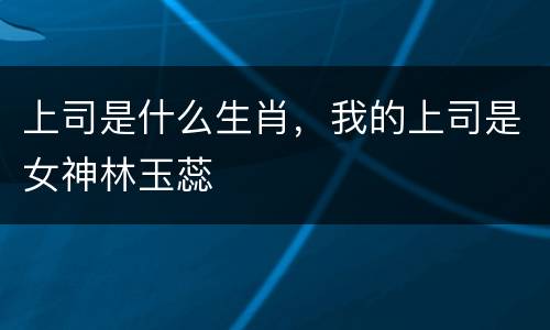 上司是什么生肖，我的上司是女神林玉蕊