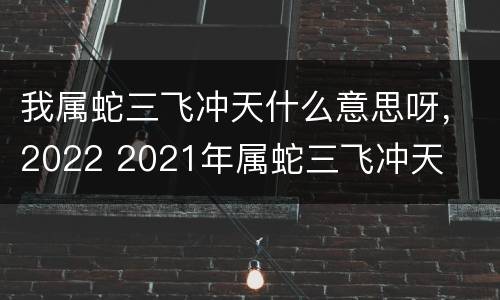 我属蛇三飞冲天什么意思呀，2022 2021年属蛇三飞冲天