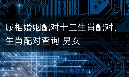 属相婚姻配对十二生肖配对，生肖配对查询 男女