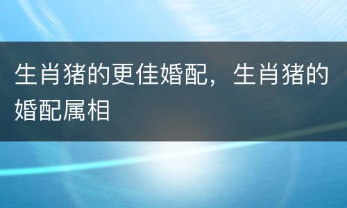 生肖猪的更佳婚配，生肖猪的婚配属相