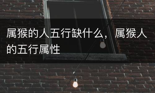 属猴的人五行缺什么，属猴人的五行属性