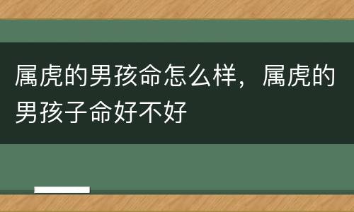 属虎的男孩命怎么样，属虎的男孩子命好不好