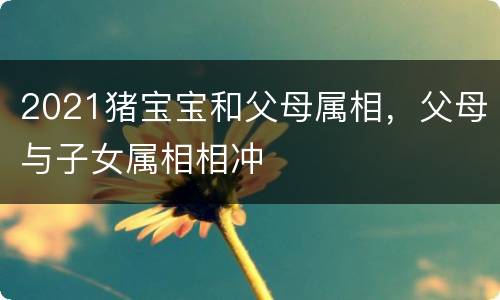 2021猪宝宝和父母属相，父母与子女属相相冲