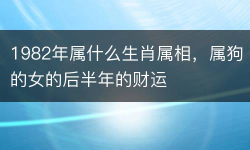 1982年属什么生肖属相，属狗的女的后半年的财运